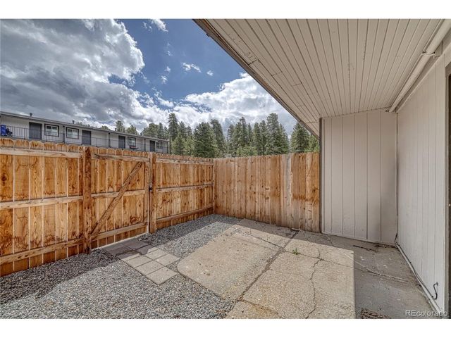 921 Mt Massive Dr 4-4, Leadville, CO 80461