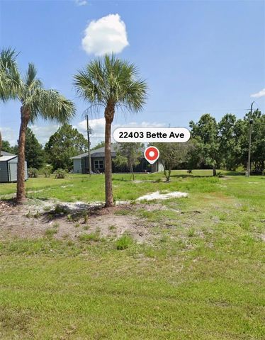 22403 BETTE AVENUE, Port Charlotte, FL 33954