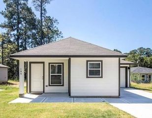 195 Cherry Tree, Livingston, TX 77351