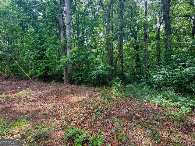 99 Lake Harbor Trail LOTS 309-312, Martin, GA 30557