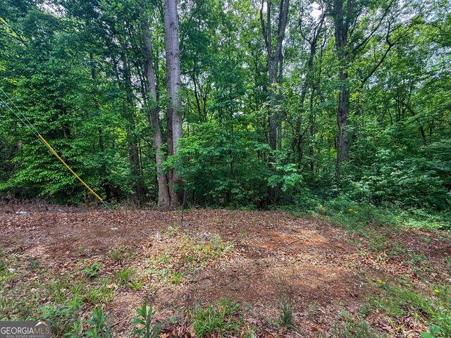 99 Lake Harbor Trail LOTS 309-312, Martin, GA 30557