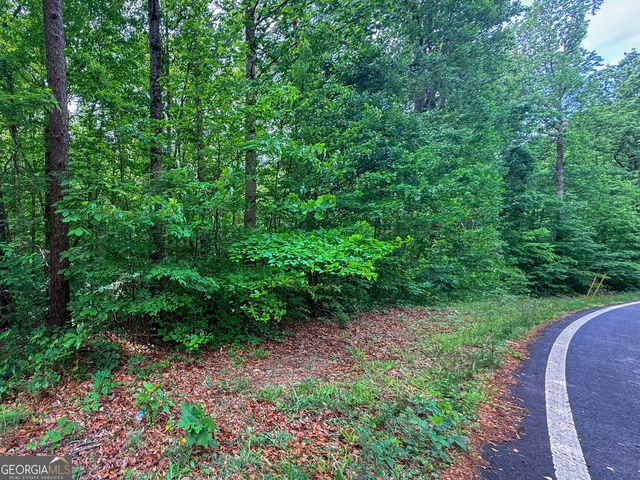 99 Lake Harbor Trail LOTS 309-312, Martin, GA 30557