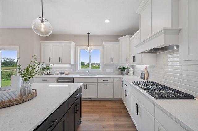 14348 Acer Avenue, Rosemount, MN 55068