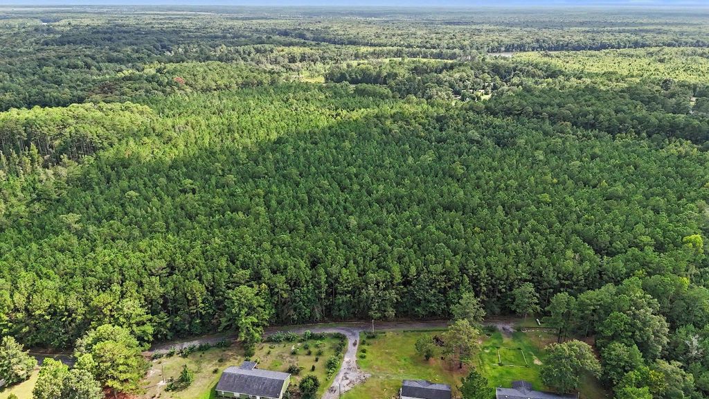 TBD Rustwood Dr., Georgetown, SC 29440 — exterior