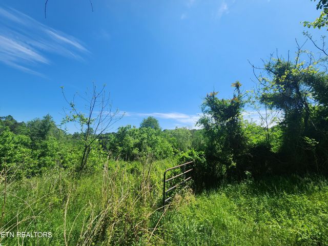 835 Nance Rd, Rutledge, TN 37861