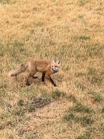 219 James Street, Portage, WI 53901