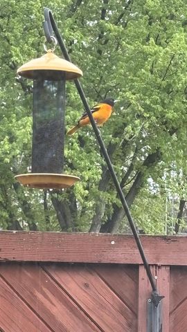 219 James Street, Portage, WI 53901