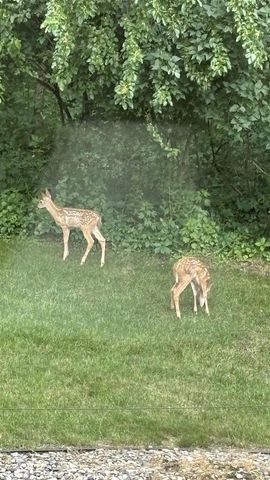 219 James Street, Portage, WI 53901