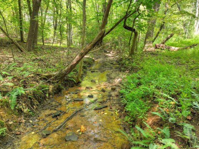 77 Alpine Way, Blairsville, GA 30512