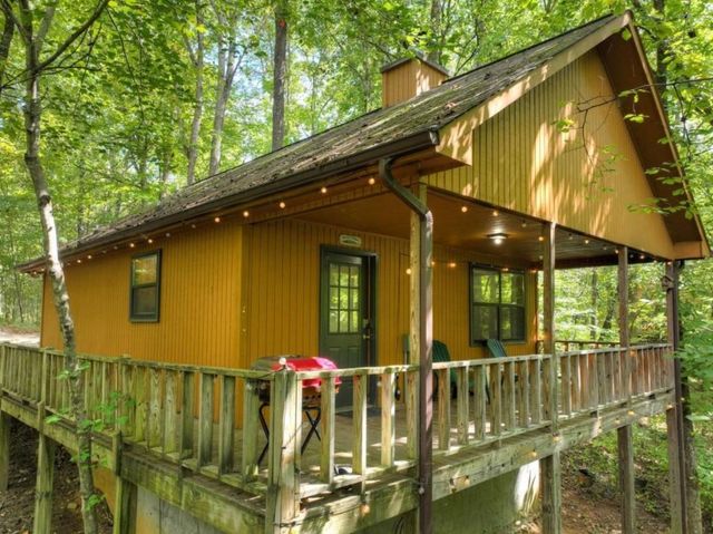 77 Alpine Way, Blairsville, GA 30512