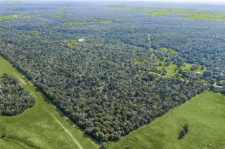 2199 Sandy Ranch RD, Harwood, TX 78632