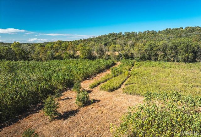 TBD Hunting Club Road, Jerseyville, IL 62052