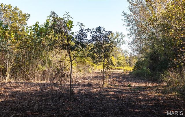 TBD Hunting Club Road, Jerseyville, IL 62052