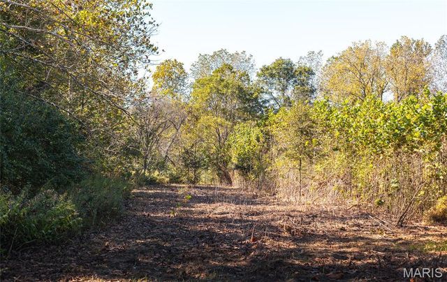 TBD Hunting Club Road, Jerseyville, IL 62052