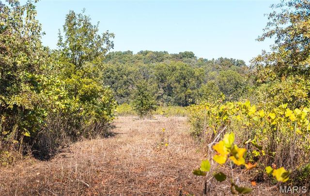 TBD Hunting Club Road, Jerseyville, IL 62052