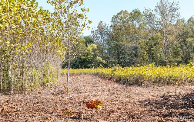 TBD Hunting Club Road, Jerseyville, IL 62052