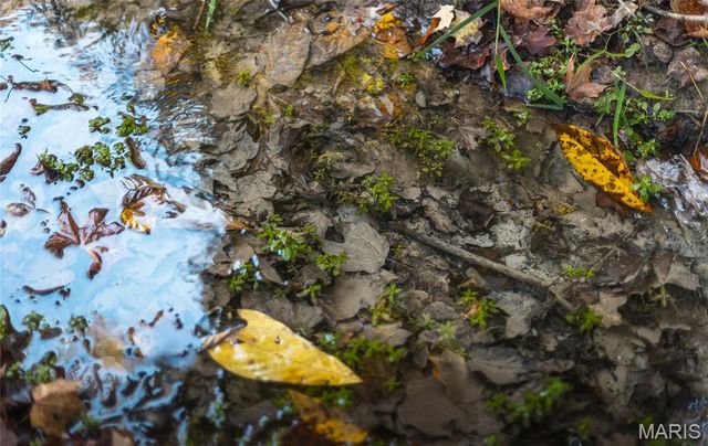 TBD Hunting Club Road, Jerseyville, IL 62052