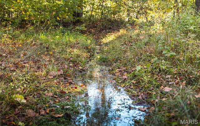 TBD Hunting Club Road, Jerseyville, IL 62052