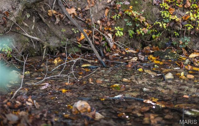 TBD Hunting Club Road, Jerseyville, IL 62052