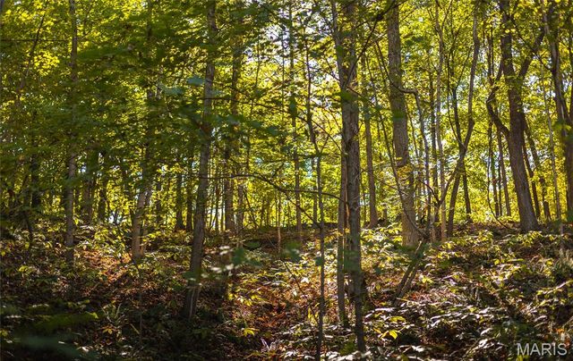 TBD Hunting Club Road, Jerseyville, IL 62052