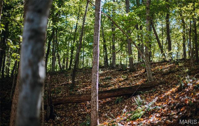 TBD Hunting Club Road, Jerseyville, IL 62052