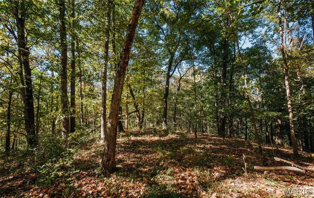 TBD Hunting Club Road, Jerseyville, IL 62052