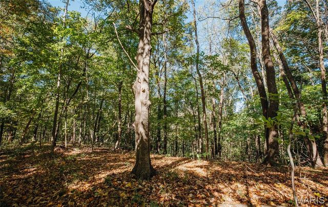 TBD Hunting Club Road, Jerseyville, IL 62052