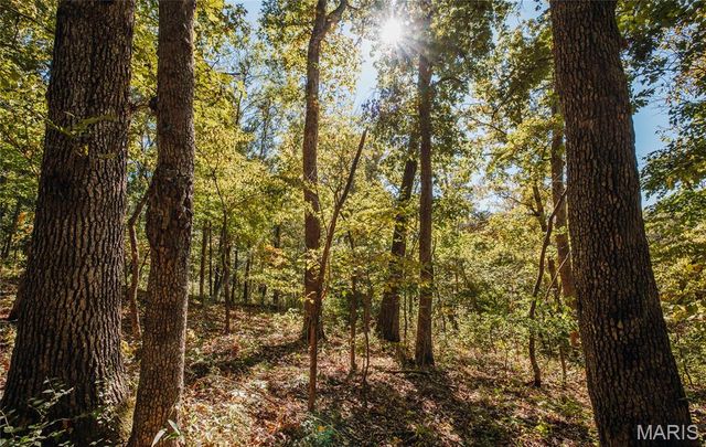 TBD Hunting Club Road, Jerseyville, IL 62052