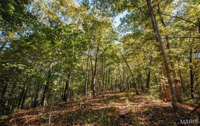 TBD Hunting Club Road, Jerseyville, IL 62052