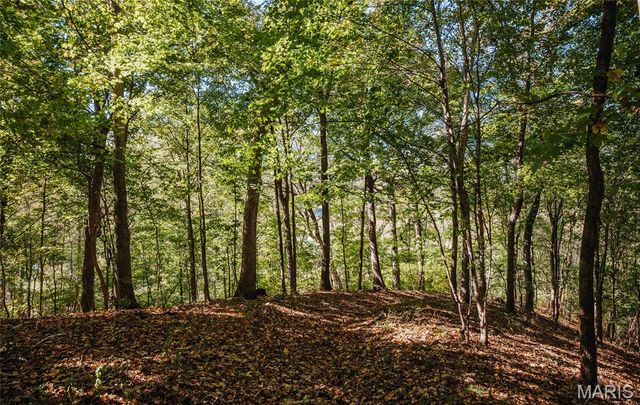 TBD Hunting Club Road, Jerseyville, IL 62052