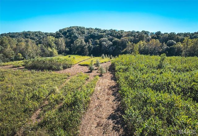 TBD Hunting Club Road, Jerseyville, IL 62052