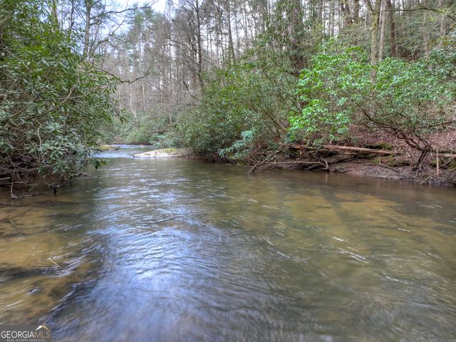 266 River Road, Cherry Log, GA 30522