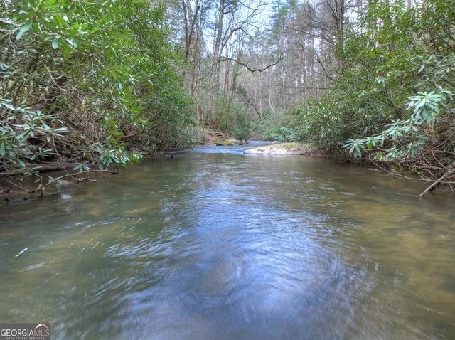 266 River Road, Cherry Log, GA 30522