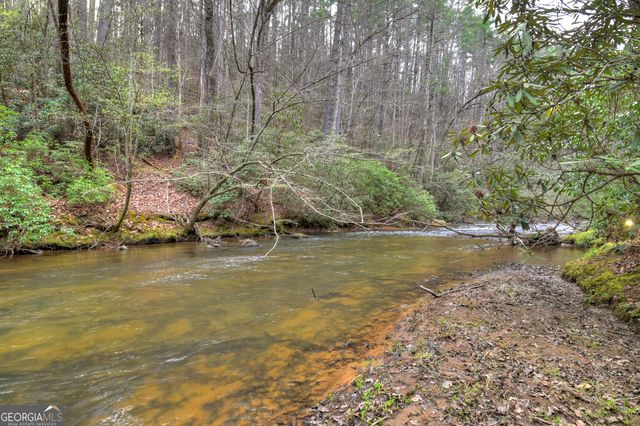 266 River Road, Cherry Log, GA 30522