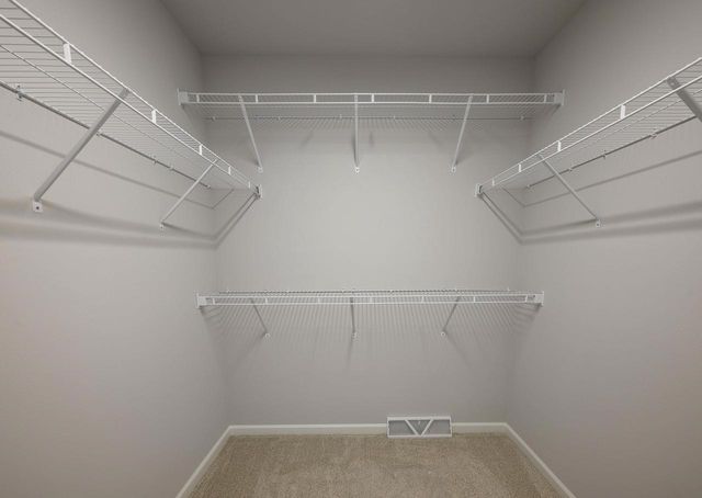 11 Spittlebug Circle, Madison, WI 53718