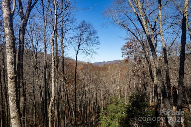 126 Mossycup Court, Tuckasegee, NC 28783