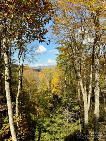 126 Mossycup Court, Tuckasegee, NC 28783