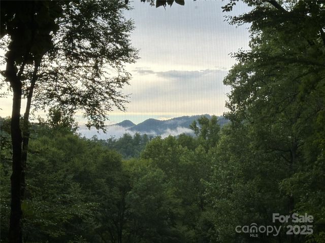 126 Mossycup Court, Tuckasegee, NC 28783