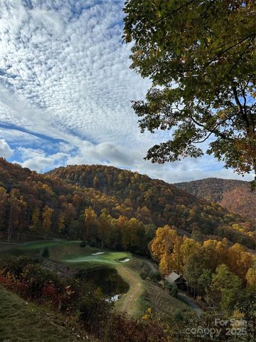 126 Mossycup Court, Tuckasegee, NC 28783