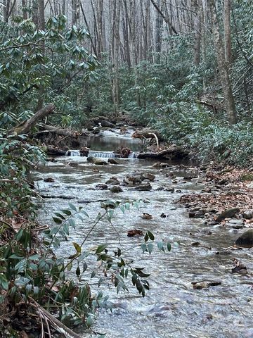 126 Mossycup Court, Tuckasegee, NC 28783