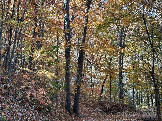 126 Mossycup Court, Tuckasegee, NC 28783