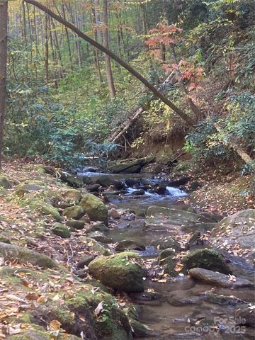 126 Mossycup Court, Tuckasegee, NC 28783