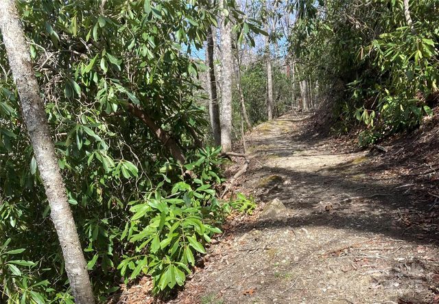 126 Mossycup Court, Tuckasegee, NC 28783