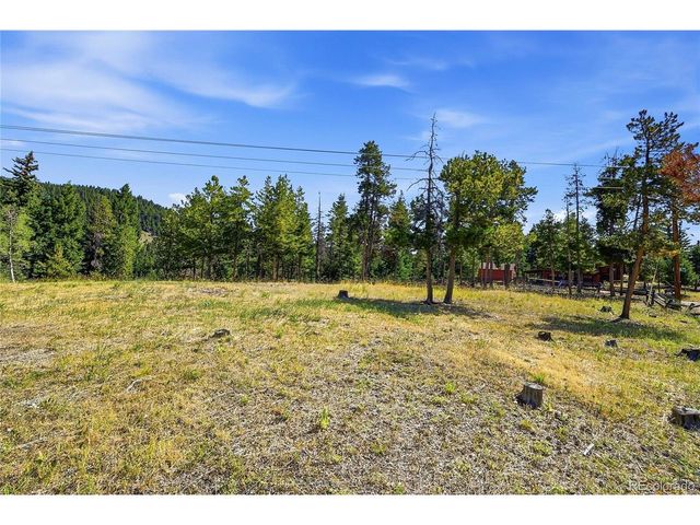 34481 Piny Pt, Evergreen, CO 80439