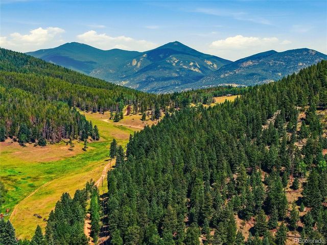 34481 Piny Pt, Evergreen, CO 80439