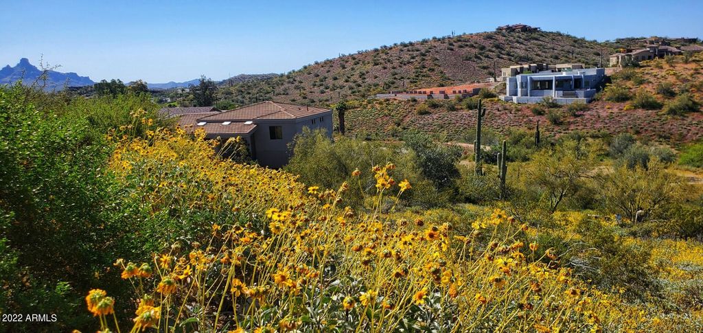 10820 N BUFFALO Drive 7, Fountain Hills, AZ 85268 — photo 3