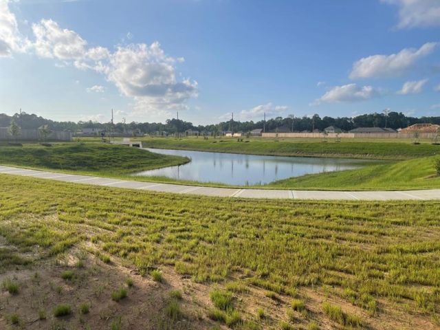 22466 Birchfield Grove Ln Lane, New Caney, TX 77357