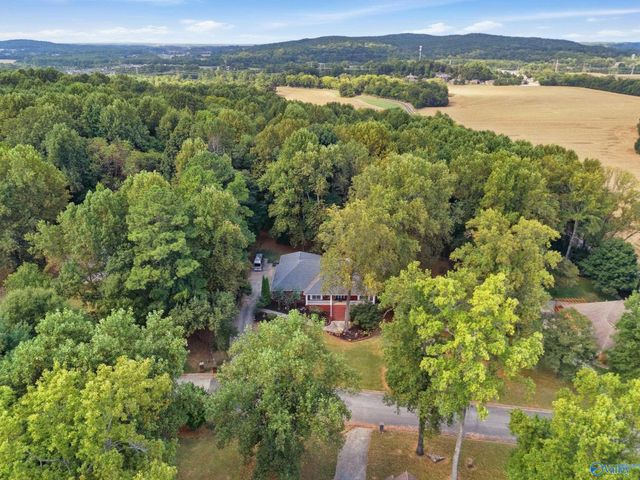 315 Mossy Oak Drive, Huntsville, AL 35806