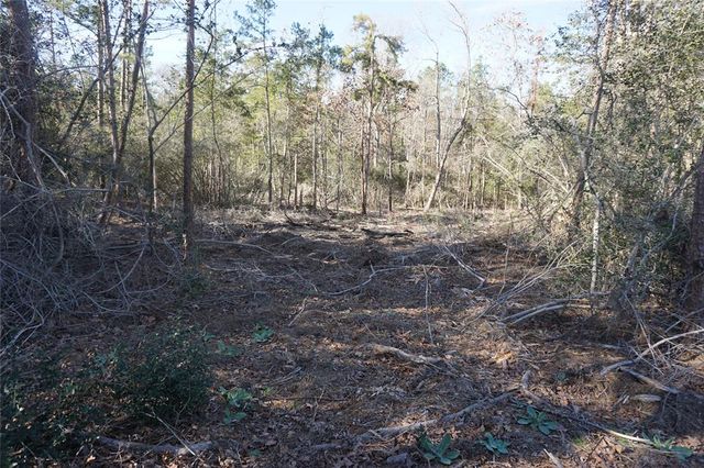 9001 Private Road 2851, Buffalo, TX 75831