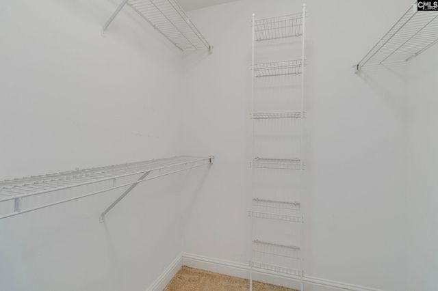 218 Bentwood Drive, Columbia, SC 29229